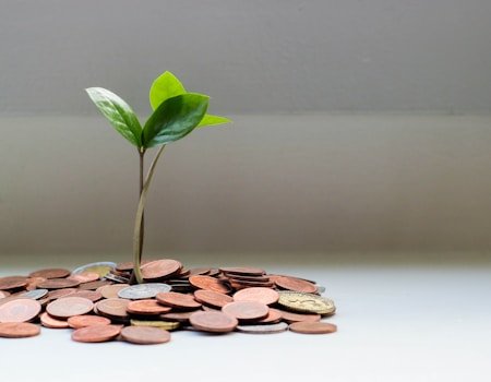 Pessoa segurando cofrinho - Educação Financeira Pessoal